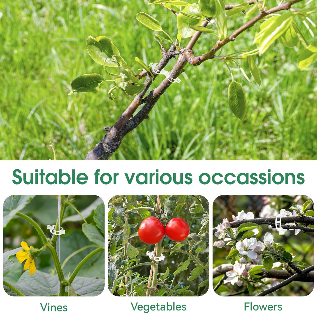 🔥Last Day Sale Tomato Clips, Plastic Trellis Clips